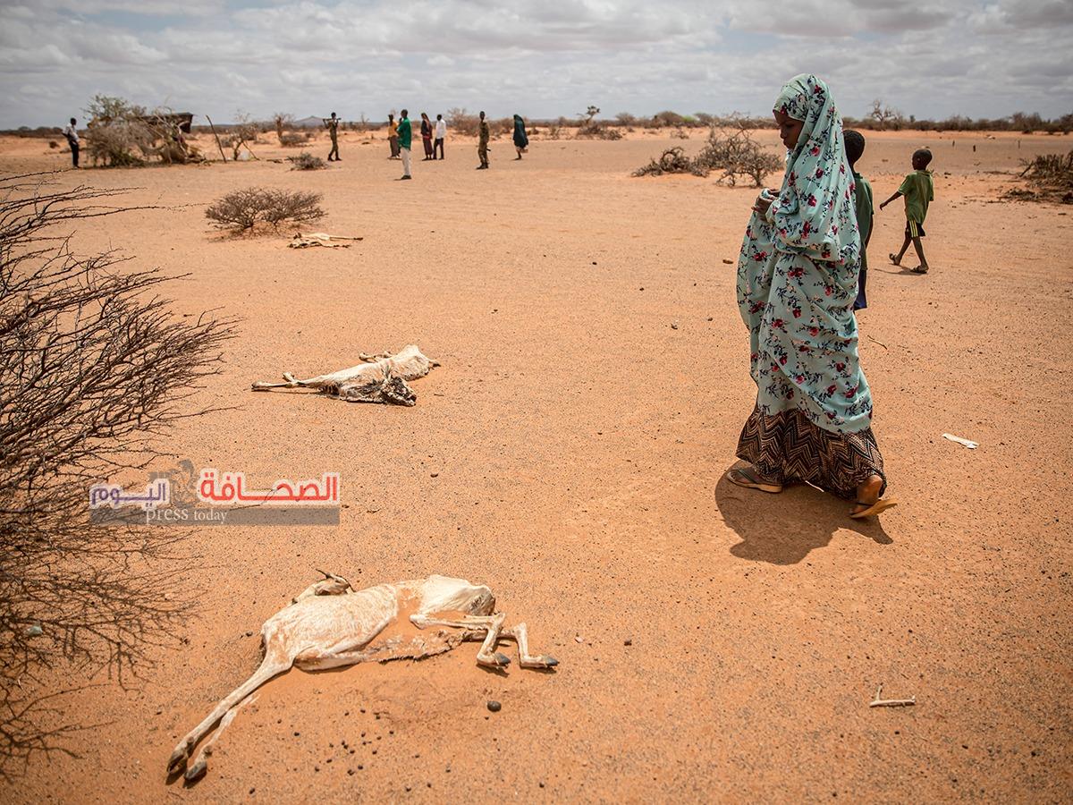 بالصور: مناشدات دولية لإنقاذ 7 ملايين صومالي